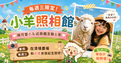 小羊照相館